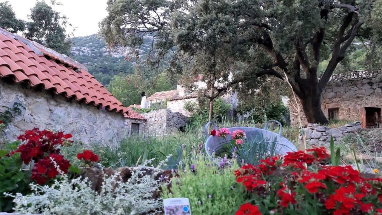 Countryside Vacation House Vitez Babino Polje Exterior foto
